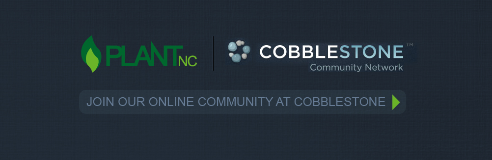 Cobblestone